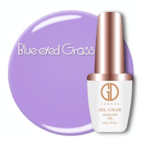 GDC 160 Blue-eyed Grass